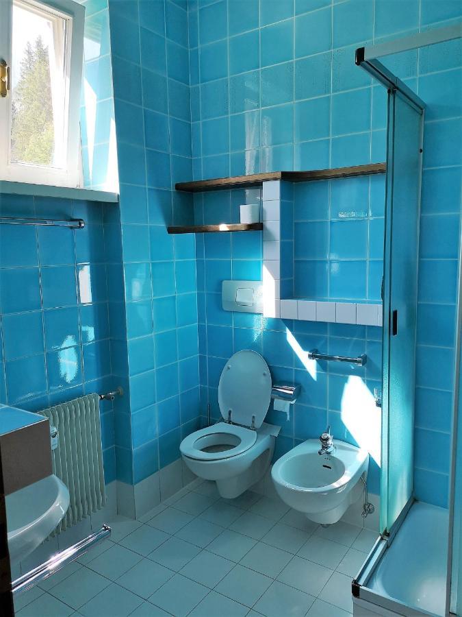 Delizioso Monolocale Apartman Dobbiaco Kültér fotó
